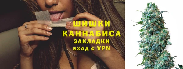 сатива Всеволожск