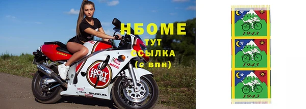 сатива Вуктыл