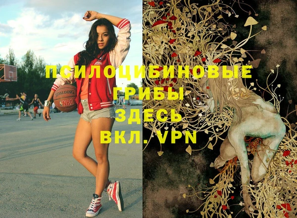 метадон Нягань