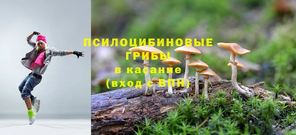 метадон Нягань
